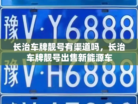 长治车牌靓号有渠道吗,长治车牌靓号出售新能源车-第2张图片-七号汽车选号 长治车牌靓号有渠道吗,长治车牌靓号出售新能源车-第2张图片-七号汽车选号