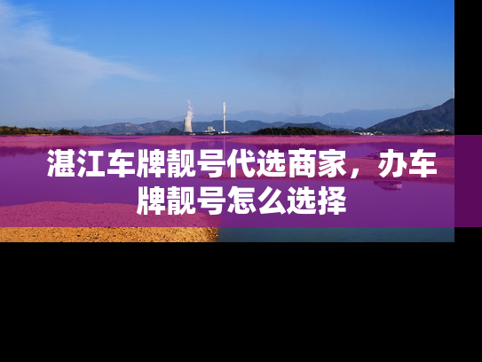 湛江车牌靓号代选商家，办车牌靓号怎么选择