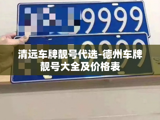清远车牌靓号代选-德州车牌靓号大全及价格表-第2张图片-七号汽车选号 清远车牌靓号代选-德州车牌靓号大全及价格表-第2张图片-七号汽车选号