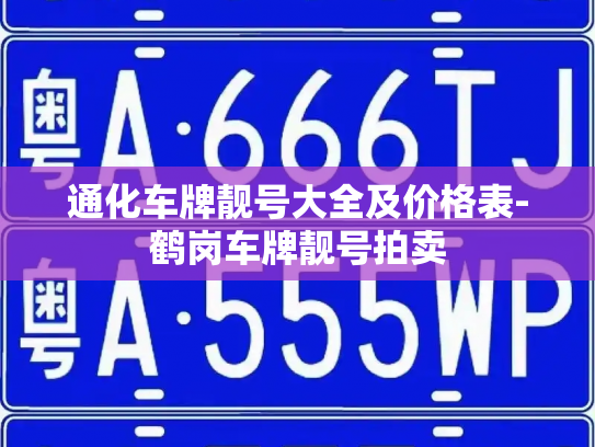 通化车牌靓号大全及价格表-鹤岗车牌靓号拍卖-第2张图片-七号汽车选号
