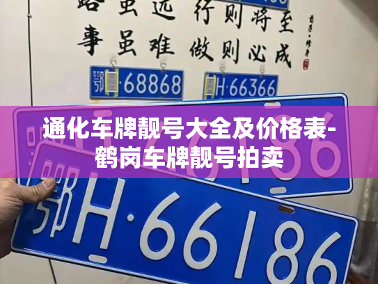 通化车牌靓号大全及价格表-鹤岗车牌靓号拍卖-第3张图片-七号汽车选号