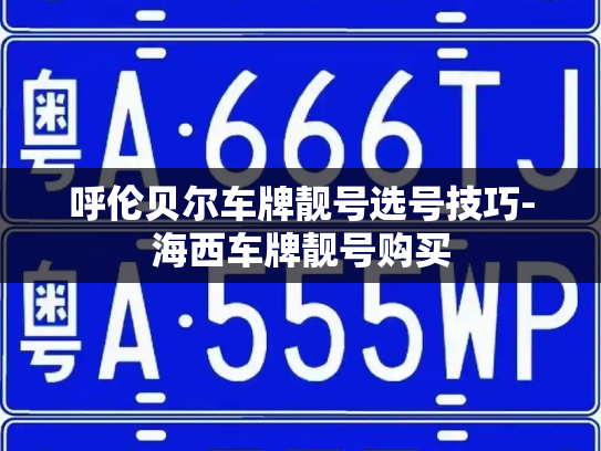 呼伦贝尔车牌靓号选号技巧-海西车牌靓号购买-第2张图片-七号汽车选号 呼伦贝尔车牌靓号选号技巧-海西车牌靓号购买-第2张图片-七号汽车选号