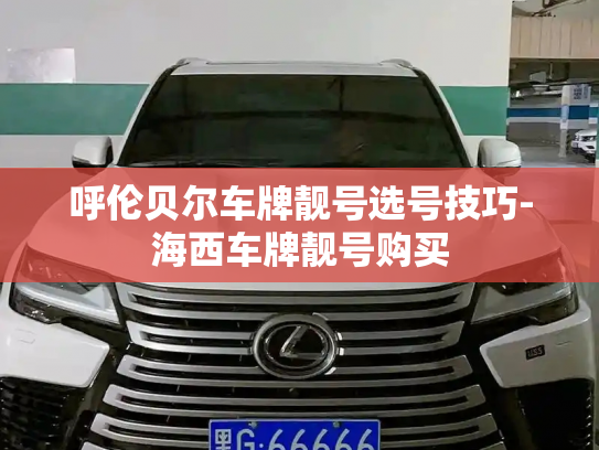 呼伦贝尔车牌靓号选号技巧-海西车牌靓号购买-第3张图片-七号汽车选号 呼伦贝尔车牌靓号选号技巧-海西车牌靓号购买-第3张图片-七号汽车选号