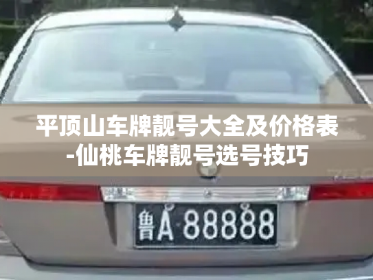 平顶山车牌靓号大全及价格表-仙桃车牌靓号选号技巧-第2张图片-七号汽车选号 平顶山车牌靓号大全及价格表-仙桃车牌靓号选号技巧-第2张图片-七号汽车选号