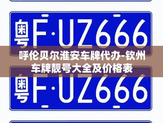 呼伦贝尔淮安车牌代办-钦州车牌靓号大全及价格表-第2张图片-七号汽车选号 呼伦贝尔淮安车牌代办-钦州车牌靓号大全及价格表-第2张图片-七号汽车选号