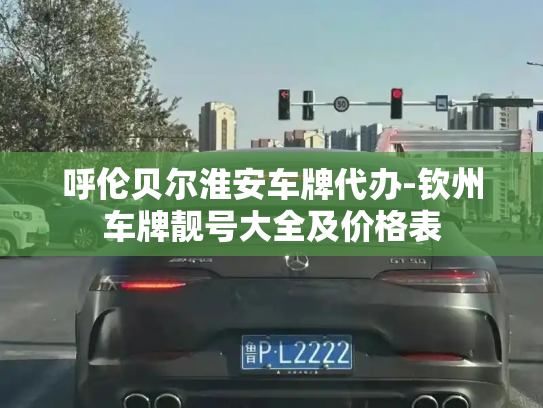 呼伦贝尔淮安车牌代办-钦州车牌靓号大全及价格表-第3张图片-七号汽车选号 呼伦贝尔淮安车牌代办-钦州车牌靓号大全及价格表-第3张图片-七号汽车选号