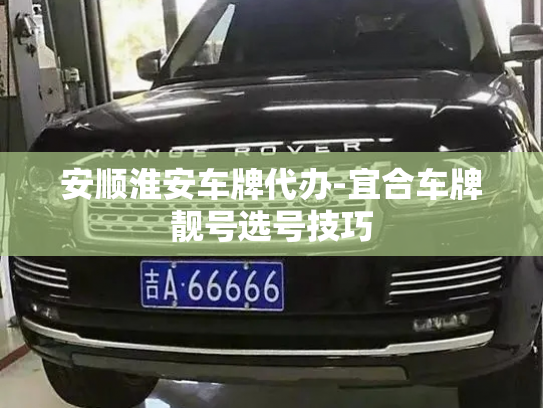 正规国内外微信白号自助购买平台，网上哪里能买到微信号-第1张图片-七号汽车选号