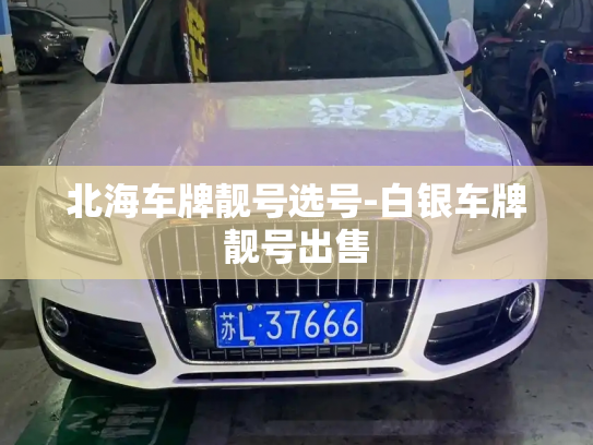 北海车牌靓号选号-白银车牌靓号出售-第3张图片-七号汽车选号 北海车牌靓号选号-白银车牌靓号出售-第3张图片-七号汽车选号