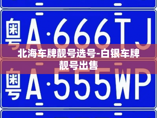 稳定活跃微信号多少钱一个，出售卖微信小号-第1张图片-七号汽车选号