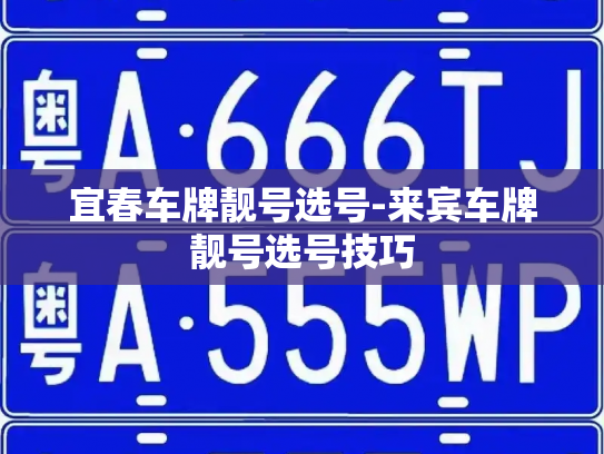 宜春车牌靓号选号-来宾车牌靓号选号技巧-第2张图片-七号汽车选号 宜春车牌靓号选号-来宾车牌靓号选号技巧-第2张图片-七号汽车选号