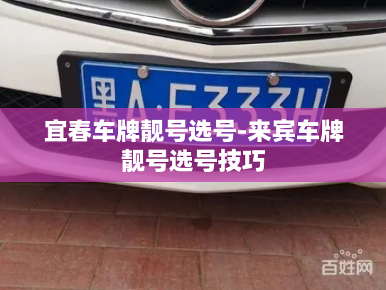 宜春车牌靓号选号-来宾车牌靓号选号技巧-第3张图片-七号汽车选号 宜春车牌靓号选号-来宾车牌靓号选号技巧-第3张图片-七号汽车选号