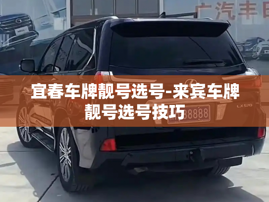 微信小号购买批发，微信当天新号多少钱一个-第1张图片-七号汽车选号