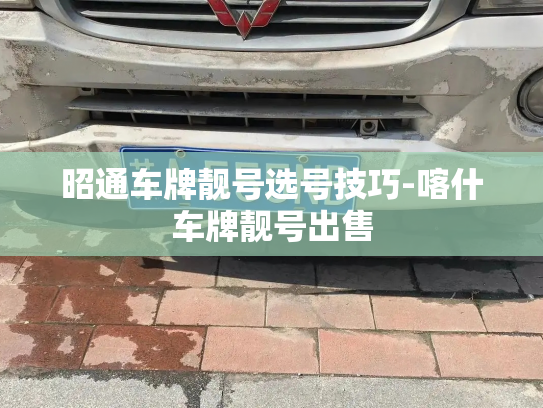 昭通车牌靓号选号技巧-喀什车牌靓号出售-第1张图片-七号汽车选号 昭通车牌靓号选号技巧-喀什车牌靓号出售-第1张图片-七号汽车选号