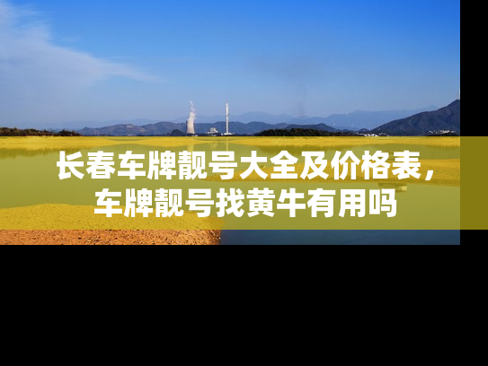 长春车牌靓号大全及价格表，车牌靓号找黄牛有用吗