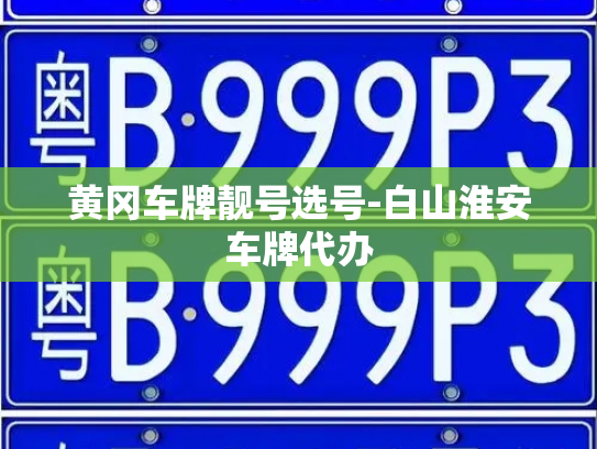 黄冈车牌靓号选号-白山淮安车牌代办-第2张图片-七号汽车选号 黄冈车牌靓号选号-白山淮安车牌代办-第2张图片-七号汽车选号