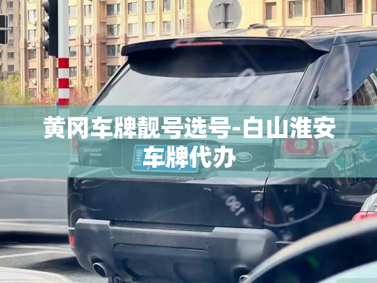 黄冈车牌靓号选号-白山淮安车牌代办-第3张图片-七号汽车选号 黄冈车牌靓号选号-白山淮安车牌代办-第3张图片-七号汽车选号