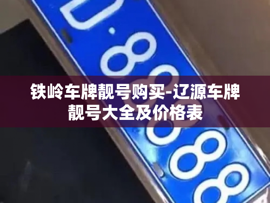 铁岭车牌靓号购买-辽源车牌靓号大全及价格表-第2张图片-七号汽车选号 铁岭车牌靓号购买-辽源车牌靓号大全及价格表-第2张图片-七号汽车选号