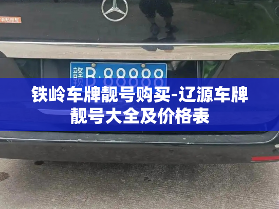 铁岭车牌靓号购买-辽源车牌靓号大全及价格表-第3张图片-七号汽车选号 铁岭车牌靓号购买-辽源车牌靓号大全及价格表-第3张图片-七号汽车选号