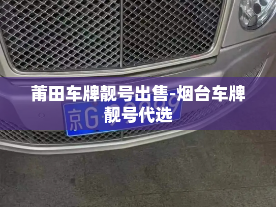 莆田车牌靓号出售-烟台车牌靓号代选-第3张图片-七号汽车选号