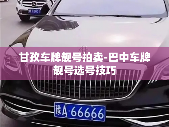 甘孜车牌靓号拍卖-巴中车牌靓号选号技巧-第2张图片-七号汽车选号