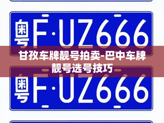 甘孜车牌靓号拍卖-巴中车牌靓号选号技巧-第3张图片-七号汽车选号