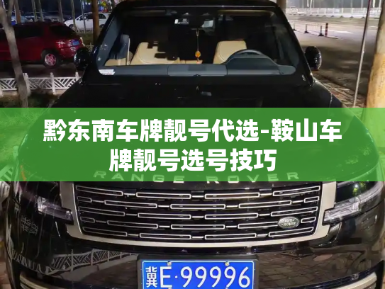 黔东南车牌靓号代选-鞍山车牌靓号选号技巧-第2张图片-七号汽车选号 黔东南车牌靓号代选-鞍山车牌靓号选号技巧-第2张图片-七号汽车选号
