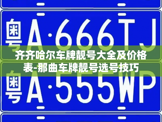齐齐哈尔车牌靓号大全及价格表-那曲车牌靓号选号技巧-第3张图片-七号汽车选号 齐齐哈尔车牌靓号大全及价格表-那曲车牌靓号选号技巧-第3张图片-七号汽车选号
