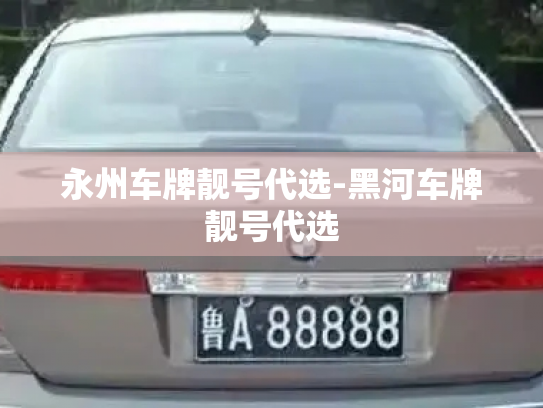 永州车牌靓号代选-黑河车牌靓号代选-第2张图片-七号汽车选号 永州车牌靓号代选-黑河车牌靓号代选-第2张图片-七号汽车选号