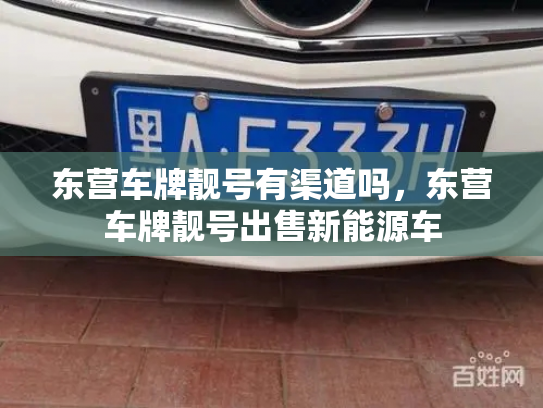 东营车牌靓号有渠道吗,东营车牌靓号出售新能源车-第3张图片-七号汽车选号 东营车牌靓号有渠道吗,东营车牌靓号出售新能源车-第3张图片-七号汽车选号