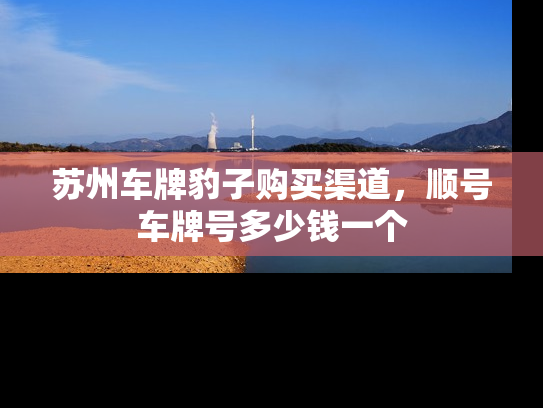 苏州车牌豹子购买渠道，顺号车牌号多少钱一个