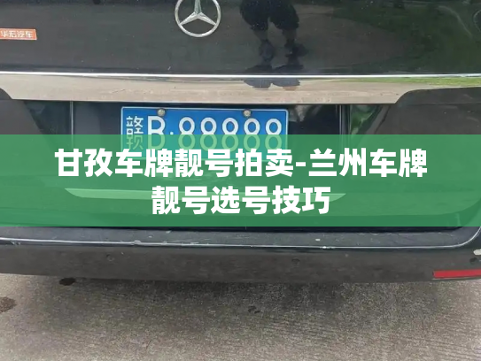 甘孜车牌靓号拍卖-兰州车牌靓号选号技巧-第2张图片-七号汽车选号