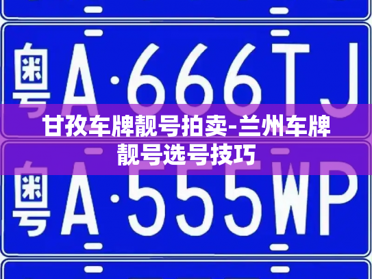 甘孜车牌靓号拍卖-兰州车牌靓号选号技巧-第3张图片-七号汽车选号