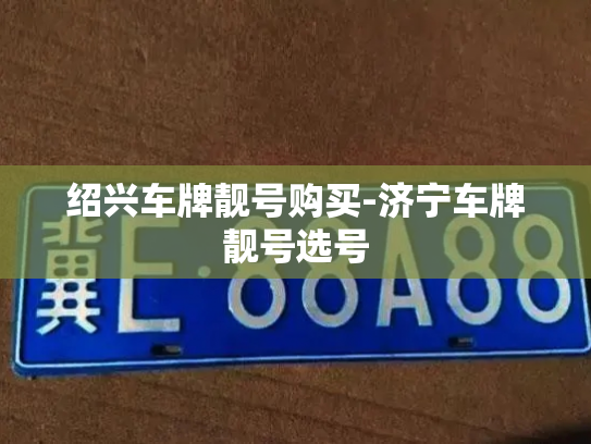 绍兴车牌靓号购买-济宁车牌靓号选号-第3张图片-七号汽车选号