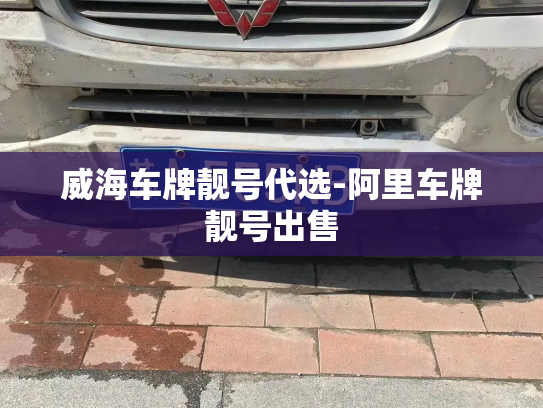 威海车牌靓号代选-阿里车牌靓号出售-第3张图片-七号汽车选号 威海车牌靓号代选-阿里车牌靓号出售-第3张图片-七号汽车选号