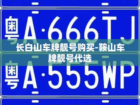 长白山车牌靓号购买-鞍山车牌靓号代选-第2张图片-七号汽车选号 长白山车牌靓号购买-鞍山车牌靓号代选-第2张图片-七号汽车选号