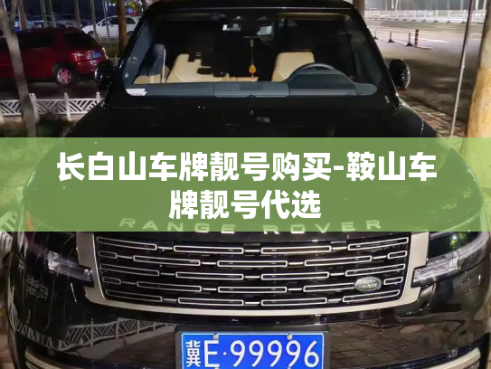 长白山车牌靓号购买-鞍山车牌靓号代选-第3张图片-七号汽车选号 长白山车牌靓号购买-鞍山车牌靓号代选-第3张图片-七号汽车选号