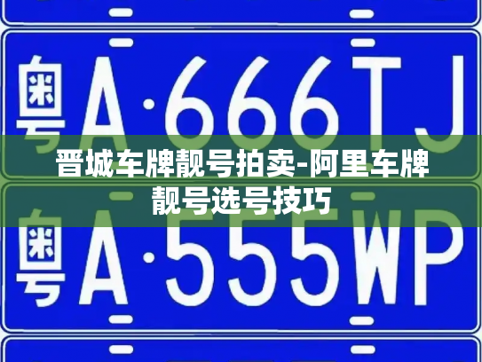 晋城车牌靓号拍卖-阿里车牌靓号选号技巧-第2张图片-七号汽车选号 晋城车牌靓号拍卖-阿里车牌靓号选号技巧-第2张图片-七号汽车选号