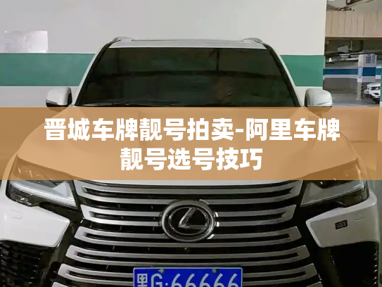 晋城车牌靓号拍卖-阿里车牌靓号选号技巧-第3张图片-七号汽车选号 晋城车牌靓号拍卖-阿里车牌靓号选号技巧-第3张图片-七号汽车选号