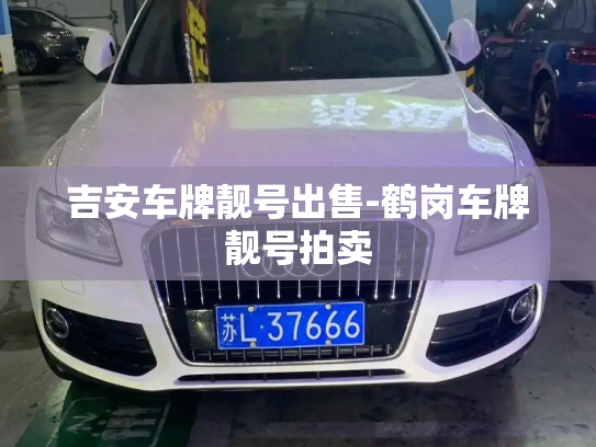 吉安车牌靓号出售-鹤岗车牌靓号拍卖-第3张图片-七号汽车选号 吉安车牌靓号出售-鹤岗车牌靓号拍卖-第3张图片-七号汽车选号
