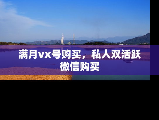 满月vx号购买，私人双活跃微信购买-第1张图片-七号汽车选号