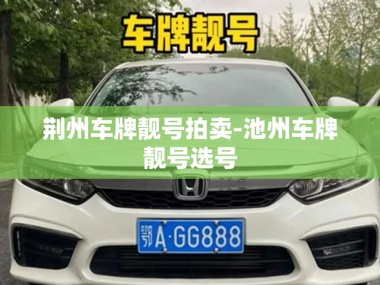 荆州车牌靓号拍卖-池州车牌靓号选号-第2张图片-七号汽车选号