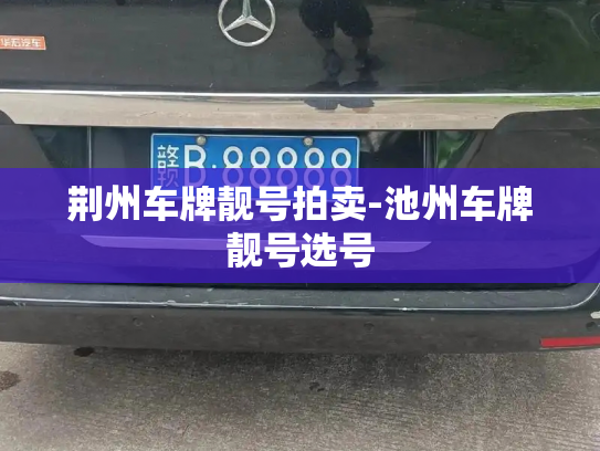 荆州车牌靓号拍卖-池州车牌靓号选号-第3张图片-七号汽车选号