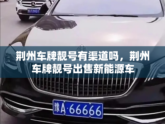 荆州车牌靓号有渠道吗,荆州车牌靓号出售新能源车-第2张图片-七号汽车选号 荆州车牌靓号有渠道吗,荆州车牌靓号出售新能源车-第2张图片-七号汽车选号