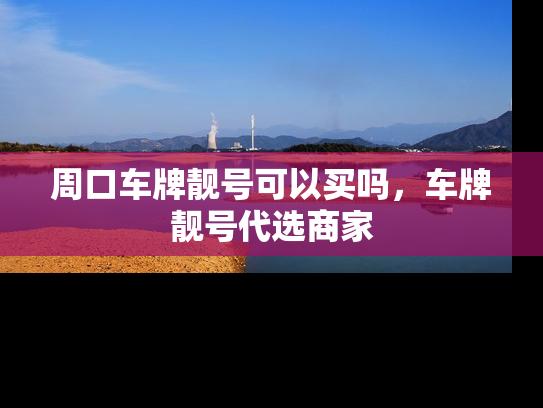 周口车牌靓号可以买吗，车牌靓号代选商家