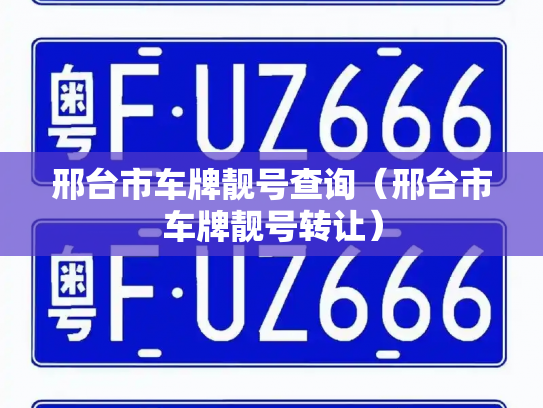 邢台市车牌靓号查询(邢台市车牌靓号转让)-第3张图片-七号汽车选号 邢台市车牌靓号查询(邢台市车牌靓号转让)-第3张图片-七号汽车选号