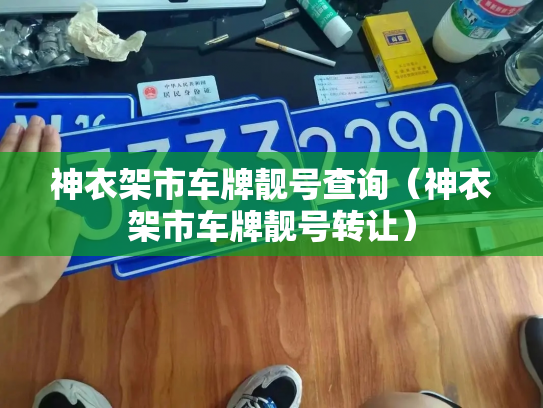 神衣架市车牌靓号查询(神衣架市车牌靓号转让)-第2张图片-七号汽车选号 神衣架市车牌靓号查询(神衣架市车牌靓号转让)-第2张图片-七号汽车选号
