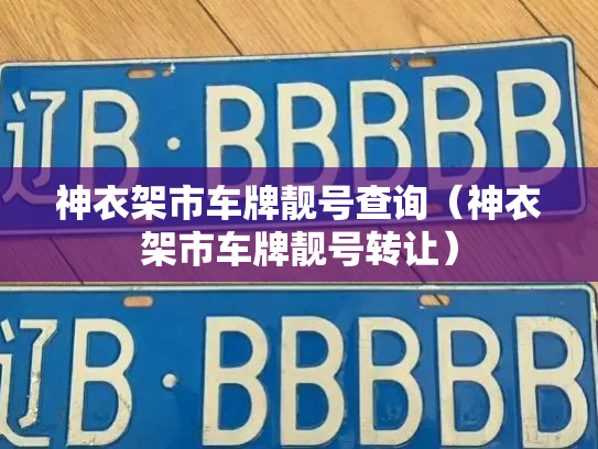 神衣架市车牌靓号查询(神衣架市车牌靓号转让)-第3张图片-七号汽车选号 神衣架市车牌靓号查询(神衣架市车牌靓号转让)-第3张图片-七号汽车选号