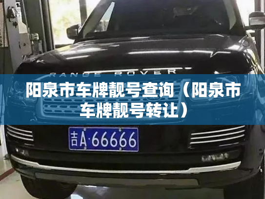 阳泉市车牌靓号查询(阳泉市车牌靓号转让)-第3张图片-七号汽车选号 阳泉市车牌靓号查询(阳泉市车牌靓号转让)-第3张图片-七号汽车选号