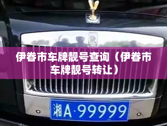伊眷市车牌靓号查询(伊眷市车牌靓号转让)-第2张图片-七号汽车选号 伊眷市车牌靓号查询(伊眷市车牌靓号转让)-第2张图片-七号汽车选号