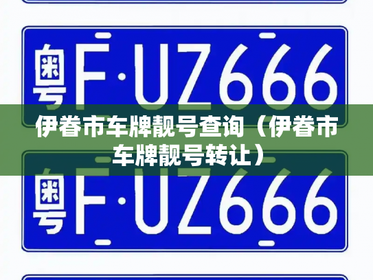 伊眷市车牌靓号查询(伊眷市车牌靓号转让)-第3张图片-七号汽车选号 伊眷市车牌靓号查询(伊眷市车牌靓号转让)-第3张图片-七号汽车选号